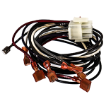 Wiring Harness, Female, 4-Pin, Gas, S12